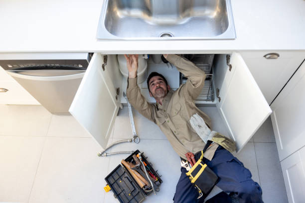 Best Clogged Drain Plumber  in Charles City, IA