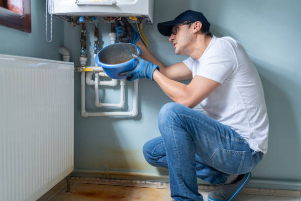 Best Commercial Plumbing Services  in Charles City, IA